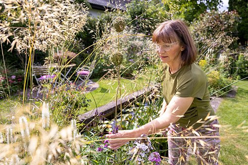 Die Paderbornerin Brigitte Bergschneider setzt in ihrem Garten auch auf Gräser. - © Niklas Tüns