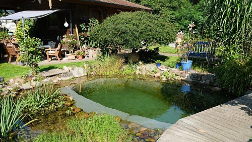 Die zweite Hälfte des Teichs ist als Tauchbecken für den Saunagang angelegt. - © Nicole Bliesener