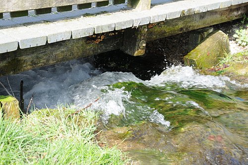 Nach der Schneeschmelze führt der Laibach in diesen Tagen viel Wasser. Im Boden ist das kühle Nass aber noch nicht überall angekommen. - © Rolf Uhlemeier