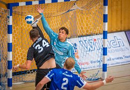 Die besten Bilder vom Handball-Highlight in Versmold