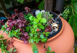 Naturgarten in Versmold: Juliane Römisch