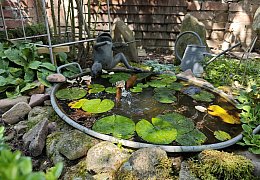 Das Gartenidyll von Ludger und Martina Jochmaring aus Brakel