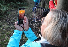 Die schönsten Bilder vom Sonnenaufgang