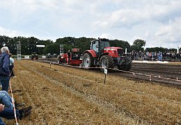 Gelungene Premiere des Trecker Trecks in Hörste