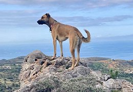 So lebt Oliver Weers auf Kreta