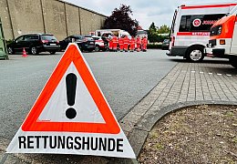 Suche nach dementer alten Dame in Halle