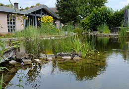 Der Garten von Familie Beckmann aus Preußisch Oldendorf