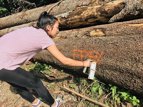 Fertig zum Abtransport: Hao sprüht auf die kontrollierten Holzstapel die Buchstaben der Firma "EPFA" , für die ihr Vater des Holz erworben hat. Foto: Herbert Gontek - © Herbert Gontek