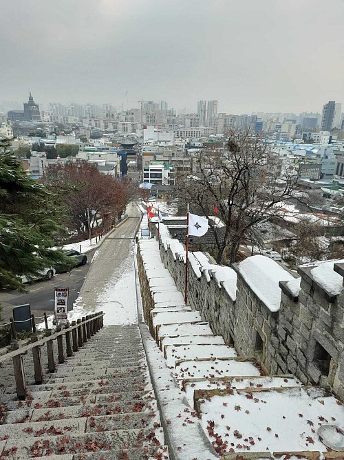 Dieses Bild entstand in Suwon und zeigt laut Hannah Stickan die Mischung zwischen Tradition und Moderne. "Das begeistert mich sehr", sagt die Versmolderin. - © Hannah Stickan