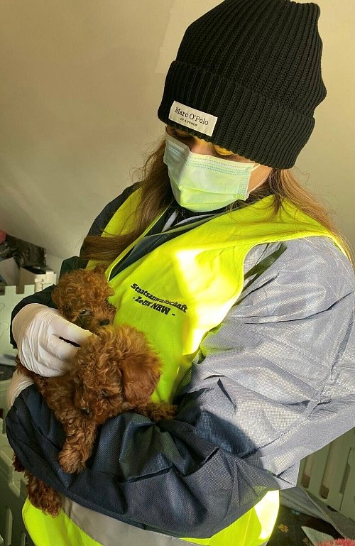 Die Mitarbeiter der Staatsanwaltschaft Dortmund kümmerten sich so weit wie möglich noch vor Ort um die vernachlässigten und teils verängstigten Tiere. - © Staatsanwaltschaft Dortmund