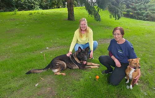 Auf dem Anwesen von Catrin Segerath (l.) fühlt sich Jonny sehr wohl. Bärbel Pinkernell vom Tierheim Melle hat den Deutschen Schäferhund an die Borgholzhausenerin vermittelt - und ist mit Mischlingshündin Fine zu Besuch. - © Claus Meyer