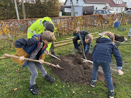 Die Kiebitz-Kids schaufeln unter Anleitug das Loch, in das hinein sie einen Baum pflanzen. - © Tasja Klusmeyer