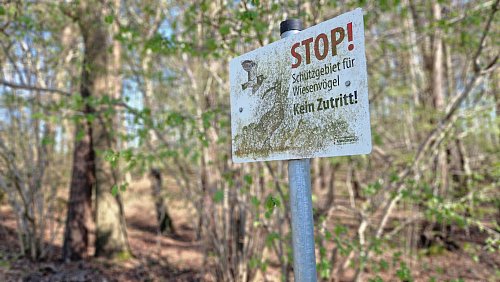 Diese Schild zeigt, dass in den Feuchtwiesen Ruhe erwünscht ist. - © Uwe Pollmeier