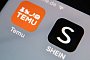 Die Apps der Internethändler Temu und Shein auf einem Smartphone - Oliver Berg/dpa/dpa-tmn