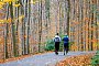 Jogger laufen durch den herbstlich gefärbten Wald. - Thomas Banneyer/dpa Jogger laufen durch den herbstlich gefärbten Wald. - Thomas Banneyer/dpa