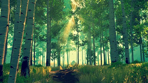 Ein Sonnenstrahl durchbricht das dichte Blätterdach des Shoshone National Forests – Schauplatz des emotionalen Abenteuers Firewatch. - © Campo Santo