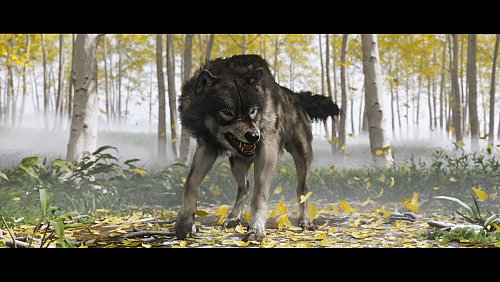 Atsu wird von einem Wolf begleitet – und wir werden Zeit brauchen, um ein unsichtbares Band zwischen uns und unserem vierbeinigen, zähnefletschenden Gefährten zu knüpfen. - © Sony Interactive Entertainment