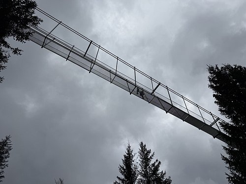 In bis zu 100 Metern Höhe führt die Hängebrücke übers Tal. - © Sevim Hangül