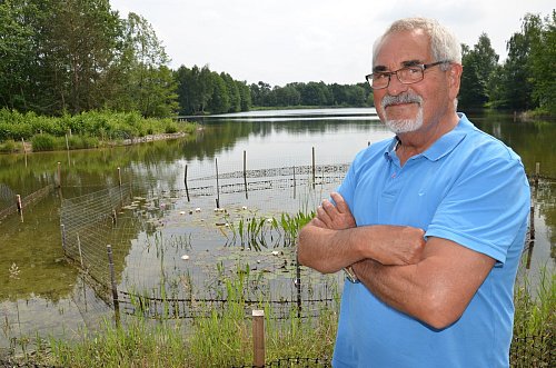 Nutrias machen viel Arbeit: Angler Hans Dengler am Vennorter See. Die Einfriedungen im Wasser schützen Seerosen und Co. vor den gefräßigen Nagetieren. Durch die Pflanzen sollen Fische geschützt und das Wasser gereinigt werden. Fotos: Jonas Damme - © Jonas Damme